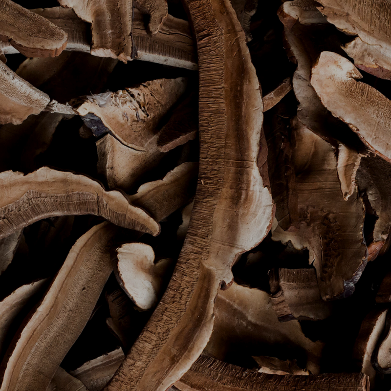 Reishi Mushroom | 160mg
